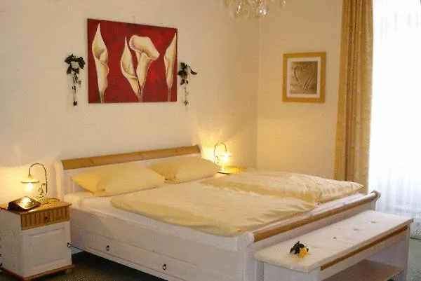 阿尔特别墅施罗斯伯里克酒店 酒店